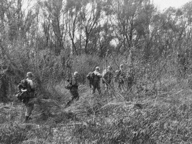 ハンバーガー・ヒル↑攻撃開始1日目。進撃する第101空挺師団の兵士たち。1969年5月10日。.jpg